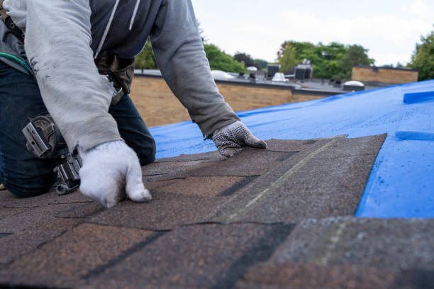 Professional Roofing Contractor in Marion, IN