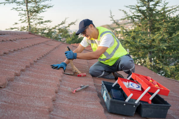 Best Sealant for Roof  in Marion, IN